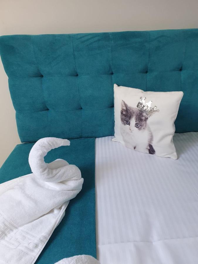 Apartament Ozon Poiana Braşov Dış mekan fotoğraf