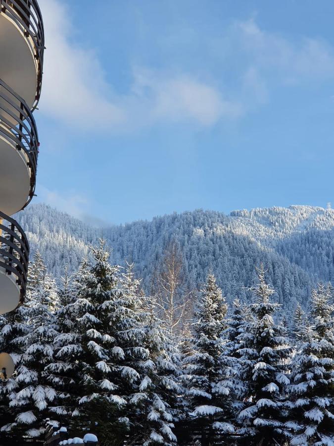 Apartament Ozon Poiana Braşov Dış mekan fotoğraf
